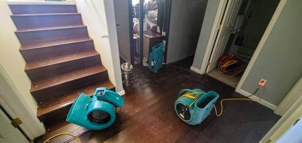 Best Carpet water damage restoration  in Rangely, CO