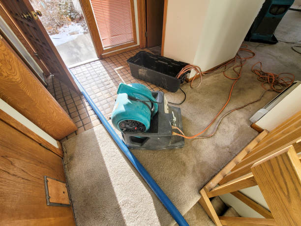 Best Water damage restoration near me  in Rangely, CO