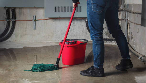Best Commercial water damage restoration  in Rangely, CO
