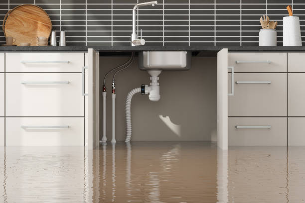 Water damage restoration experts