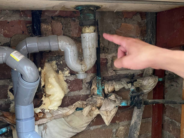 Best Water damage restoration near me  in Rangely, CO