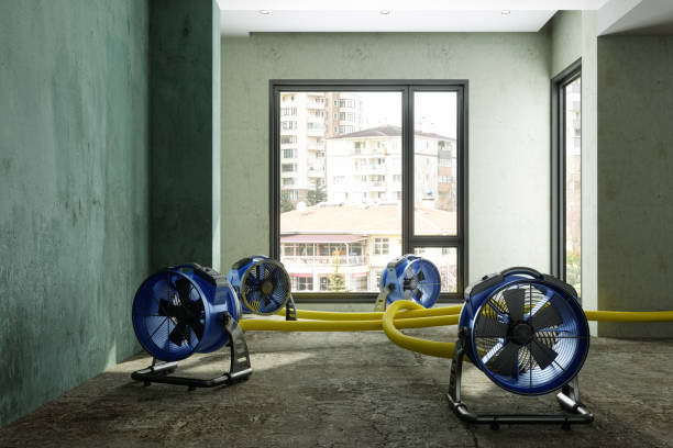 Best Water damage contractors near me  in Rangely, CO